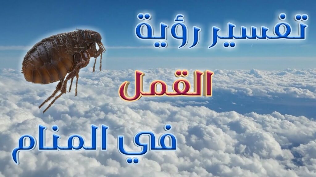 تفسير حلم القمل في الشعر لابن سيرين