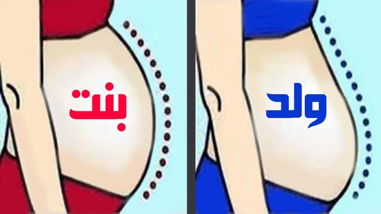 شكل بطن الحامل بولد