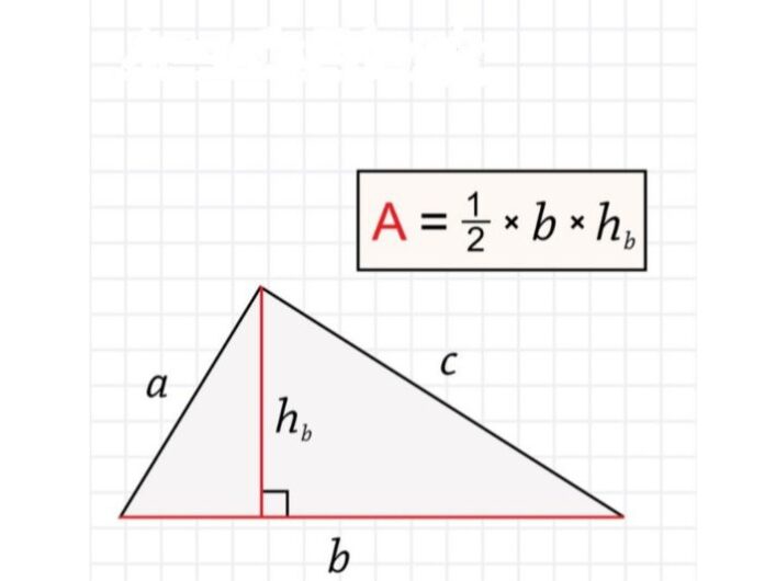 برنامج حساب مساحة المثلث