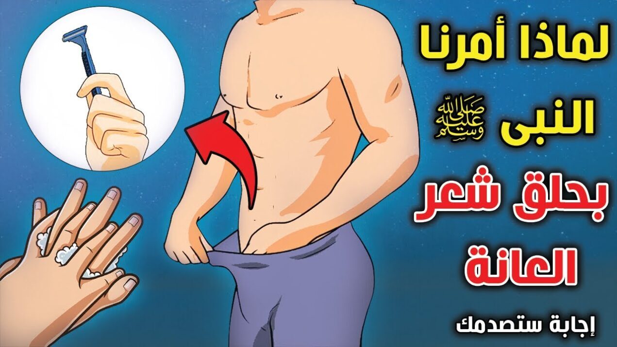 ما هي حدود عانة الرجل