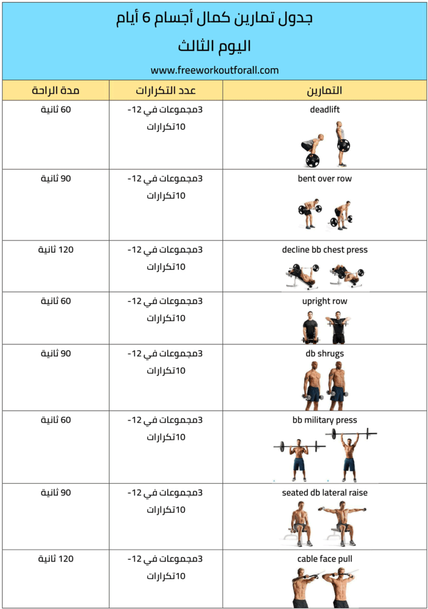 جدول تمارين حديد اسبوعي للنساء