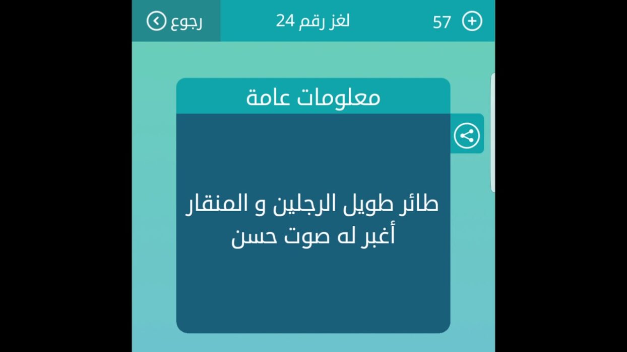 طائر طويل الرجلين والمنقار اغبر له صوت حسن