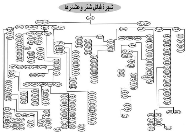 شجرة آل علي من شمر