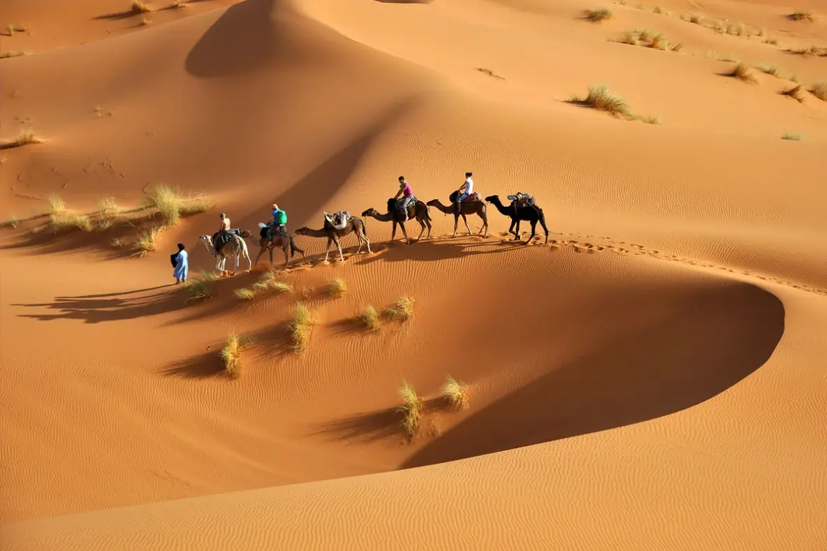 المرعشي وش يرجع