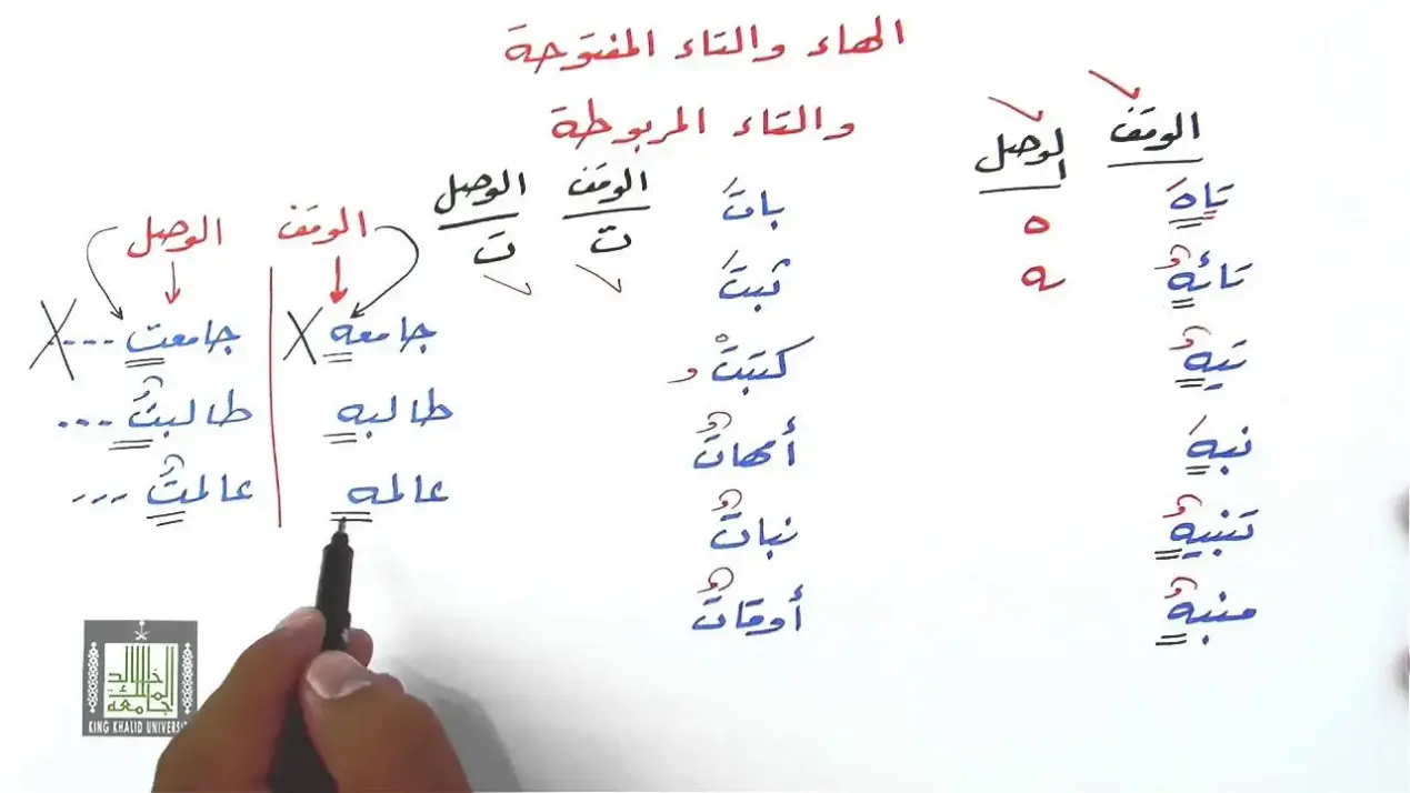 كلمات تنتهي بحرف التاء المربوطة والمفتوحة