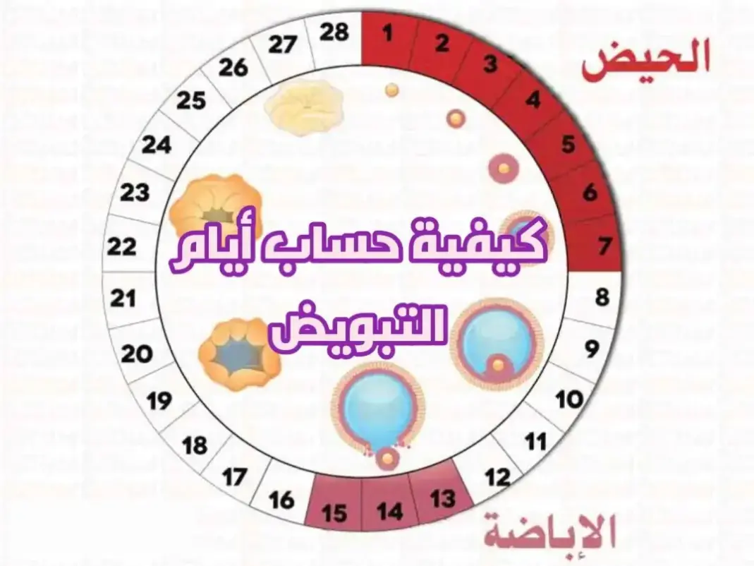 دورتي 30 يوم متى يبان الحمل