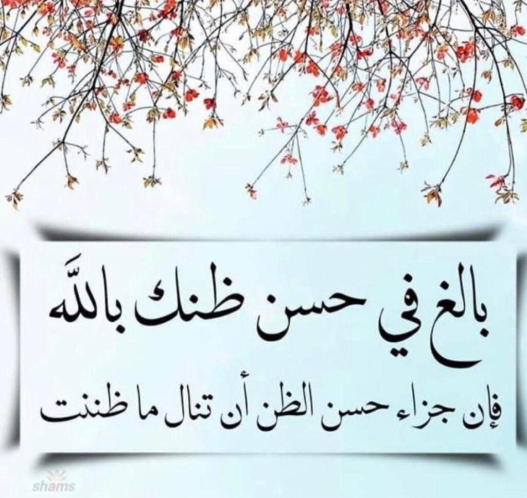 تجربتي مع حسن الظن بالله