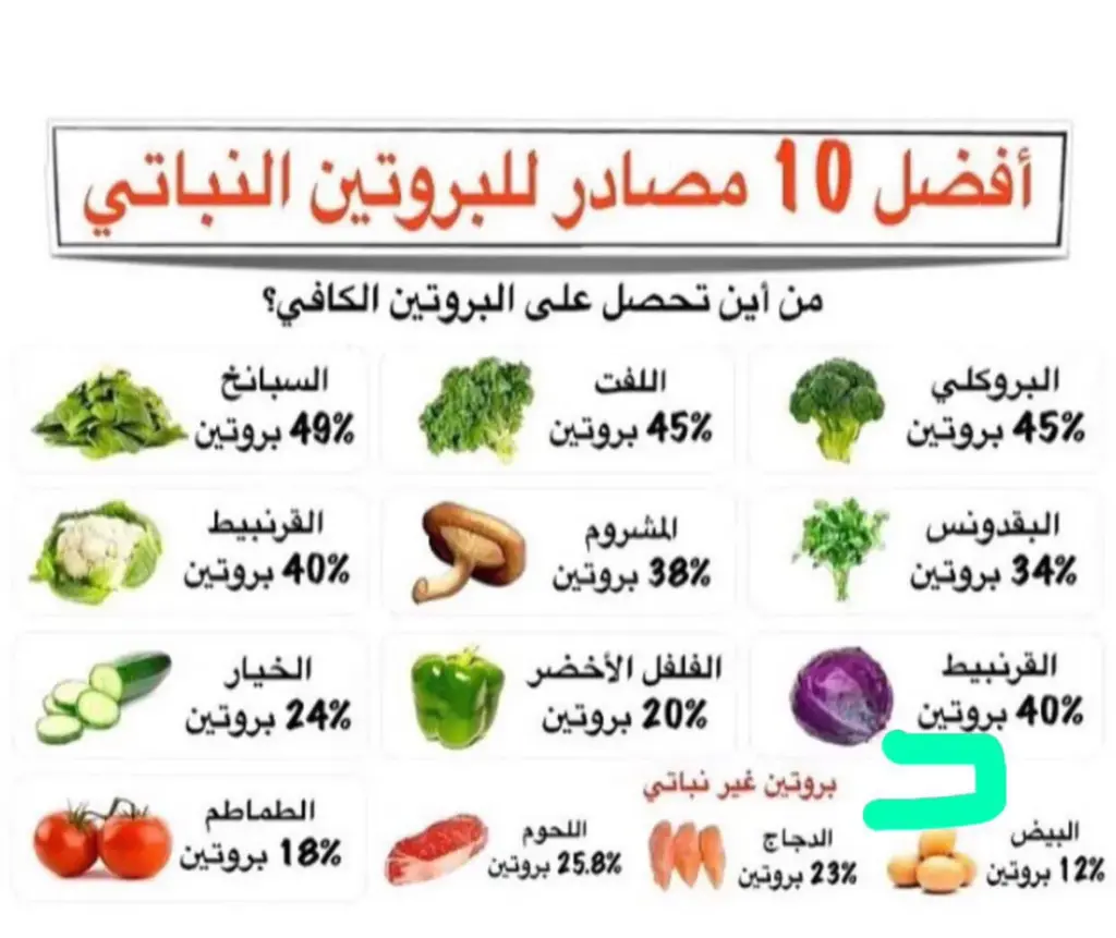 مصادر البروتين