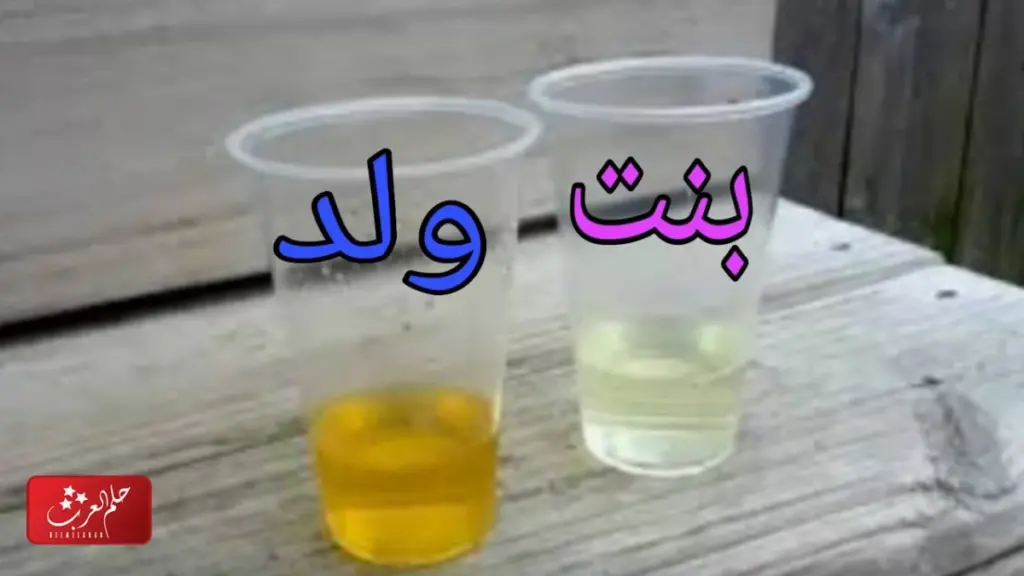 لون بول الحامل بولد في الشهر الخامس