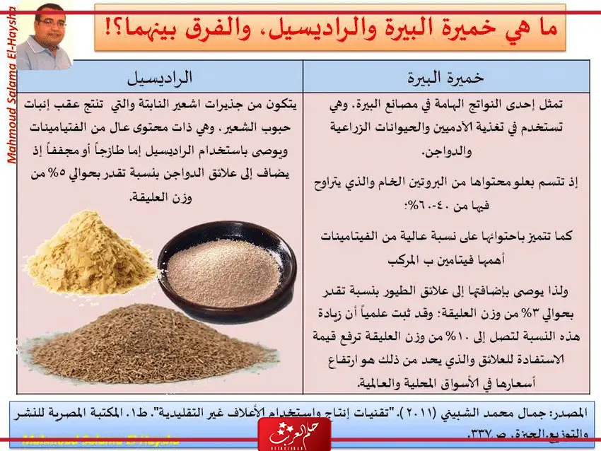 خميرة البيرة