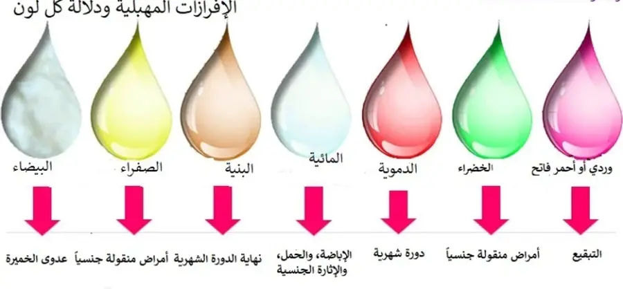 حكم الإفرازات البنية والجماع