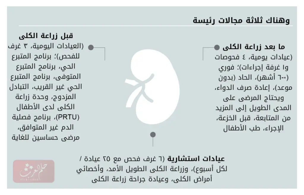 شروط التبرع بالكلى