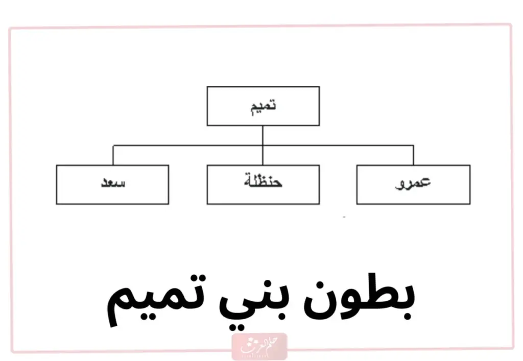 بني تميم وش يرجعون