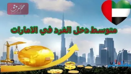 كم يبلغ متوسط دخل الفرد في الإمارات