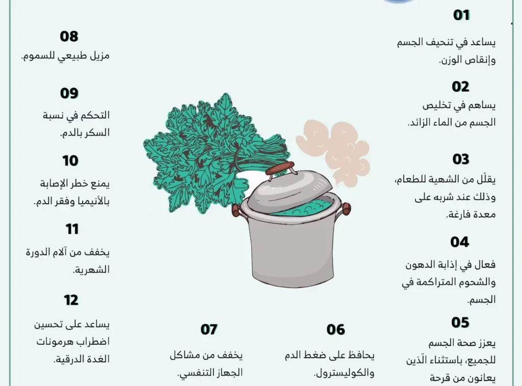 فوائد البقدونس للكلى والمسالك البولية