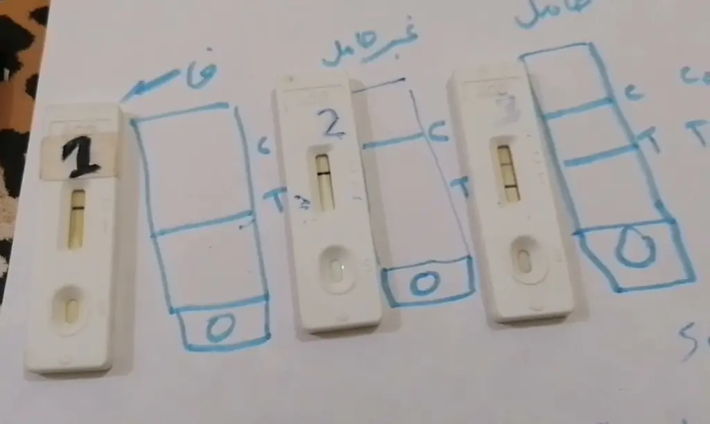 كيف افرق بين الخط الوهمي وخط الحمل؟