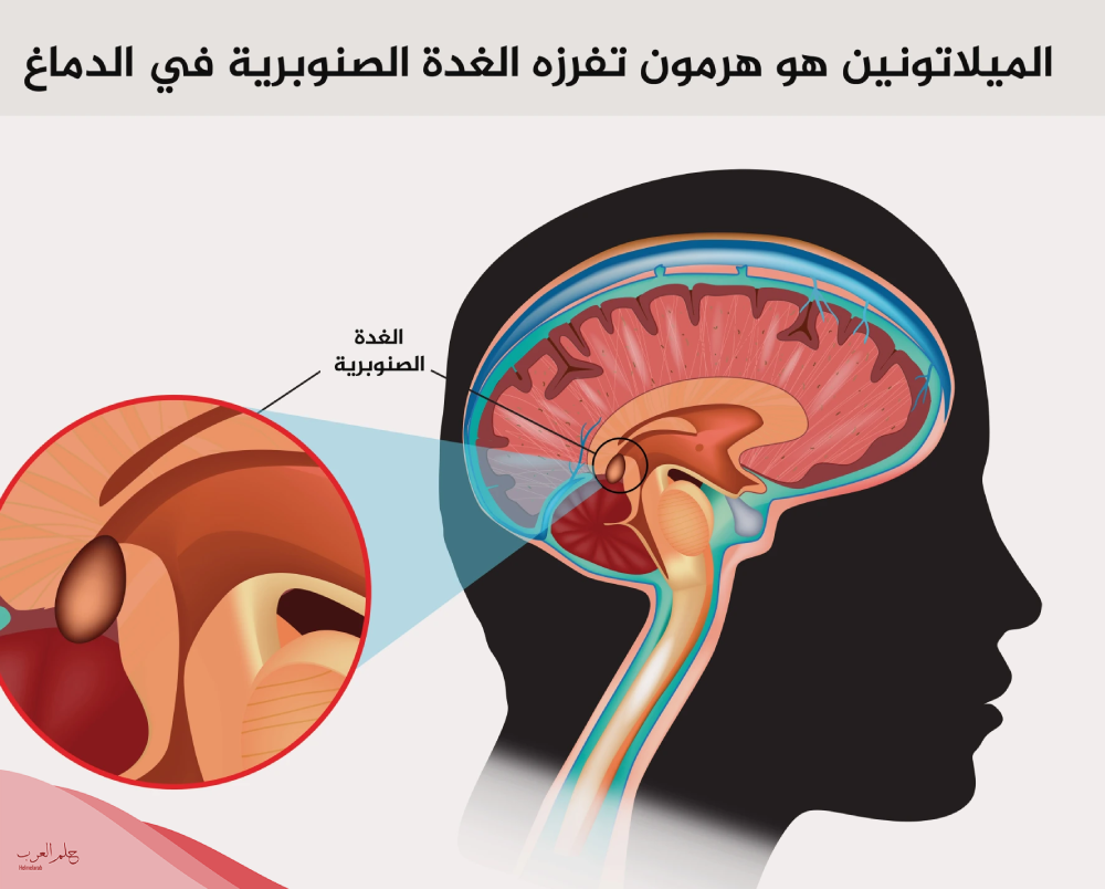 تجربتي مع حبوب الميلاتونين لعلاج الأرق والإكتئاب والعلاج