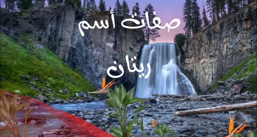 صفات حاملة اسم ريتان