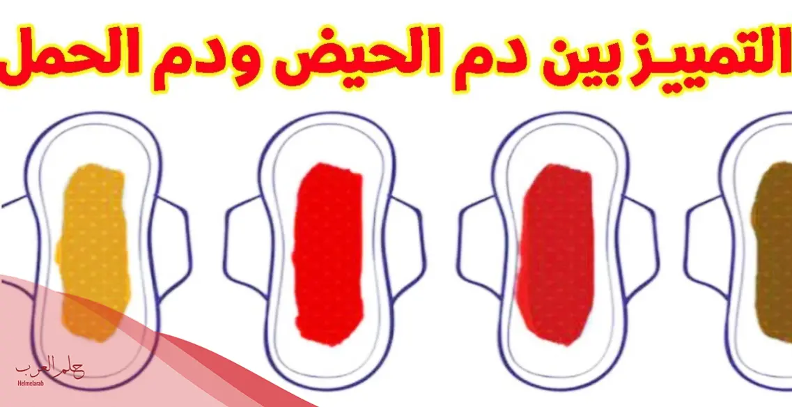 كم يوم يستمر دم الحمل الغزلاني وما شكله