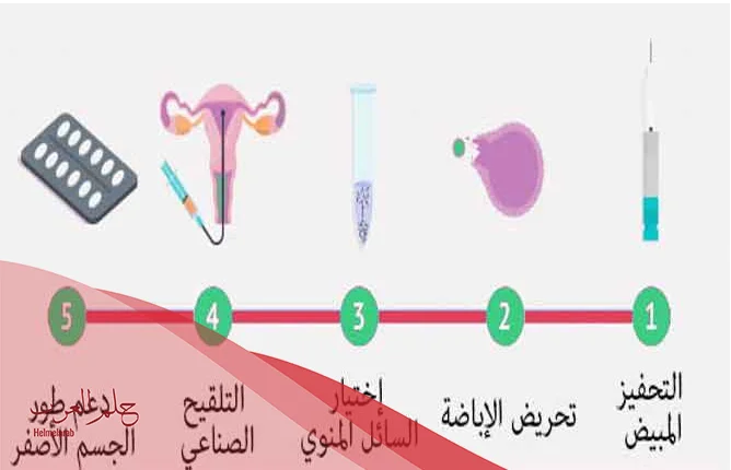 علامات نجاح التلقيح الصناعي