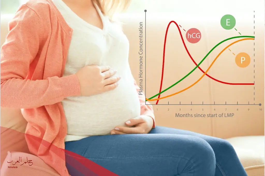 كم نسبة هرمون الحمل في اليوم 12 من الترجيع
