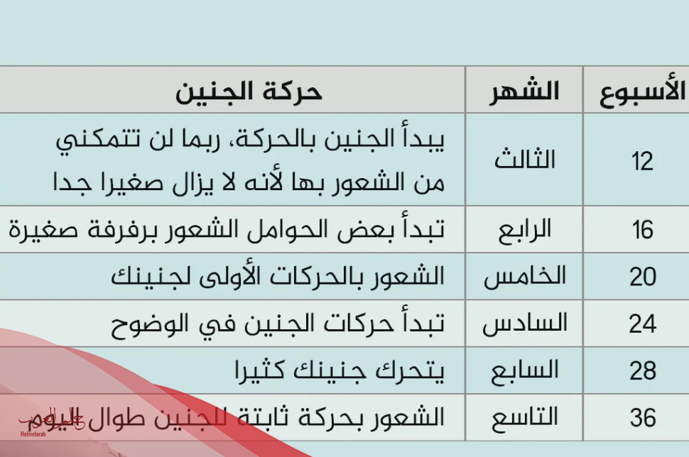 أسباب نزول الجنين أسفل البطن في الشهر الخامس