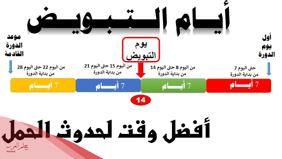 أعراض التبويض بعد ترك حبوب منع الحمل