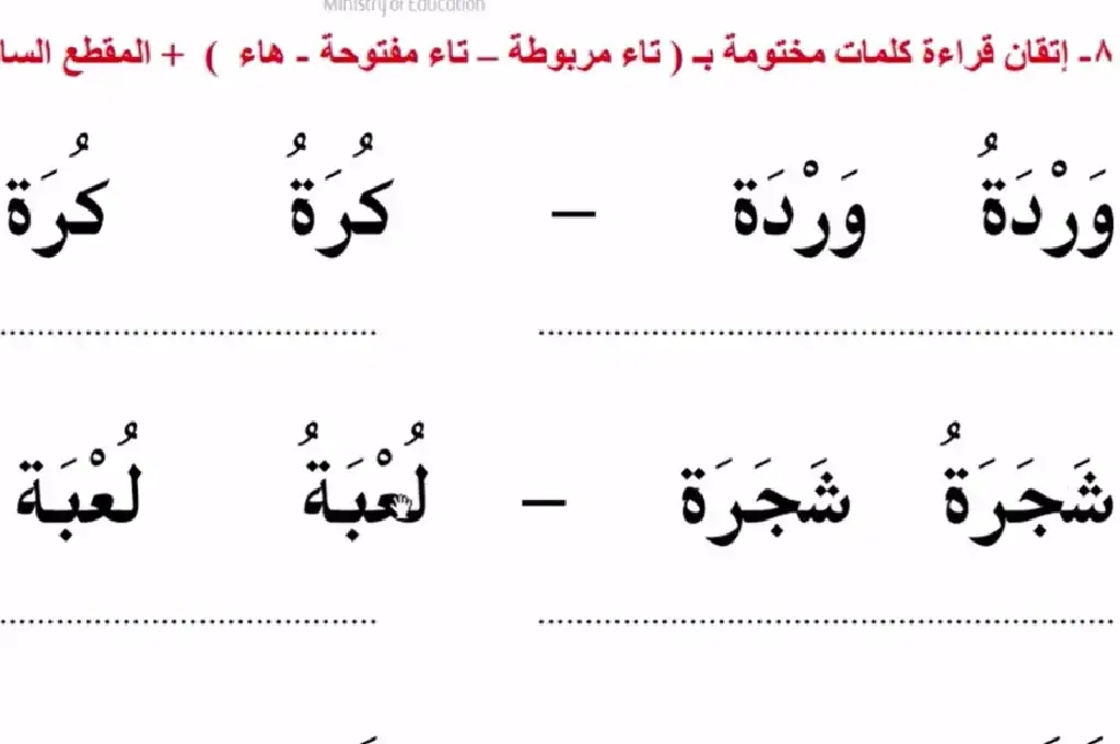 كلمات تنتهي بحرف التاء والهاء