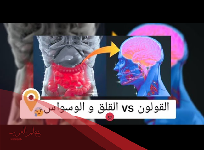 تجربتي مع القولون العصبي والوسواس