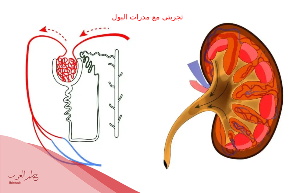 تجربتي مع مدرات البول