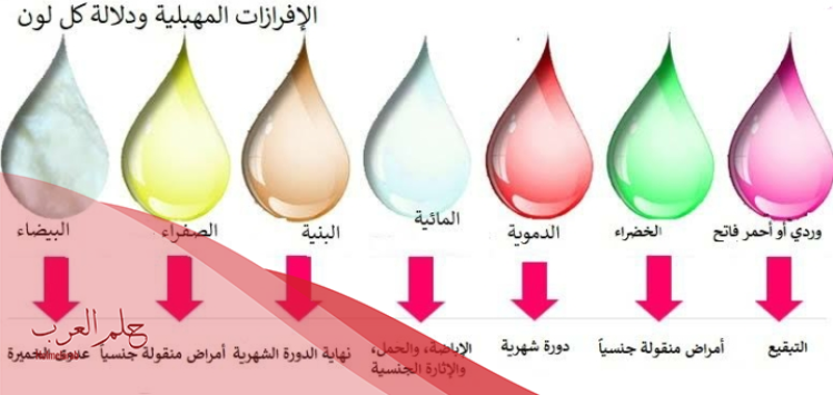 ما هو شكل الافرازات في بداية الحمل