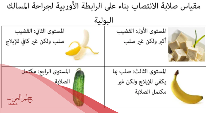 هل الفازلين والليمون يقوي الانتصاب؟