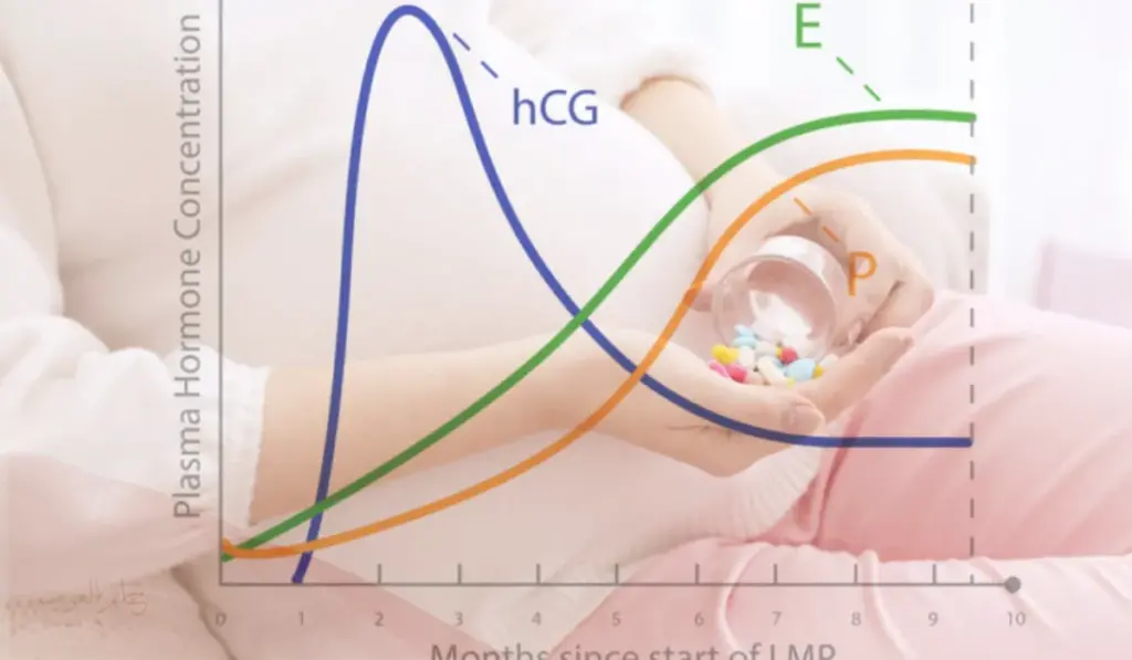 هرمون الحمل ضعيف في الاسبوع الخامس
