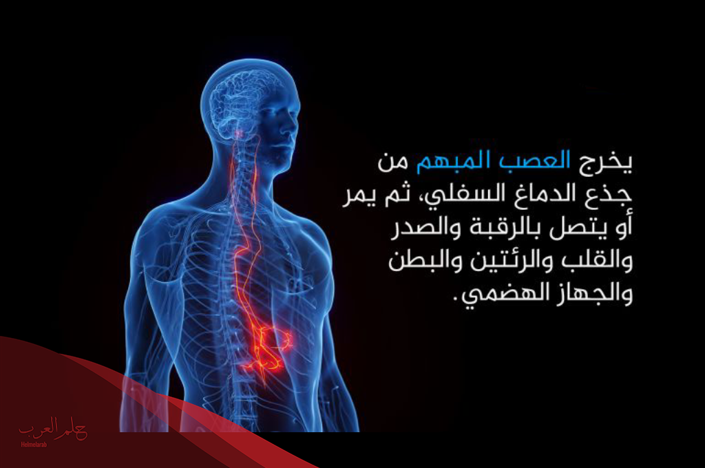 علاج العصب الحائر في المنزل