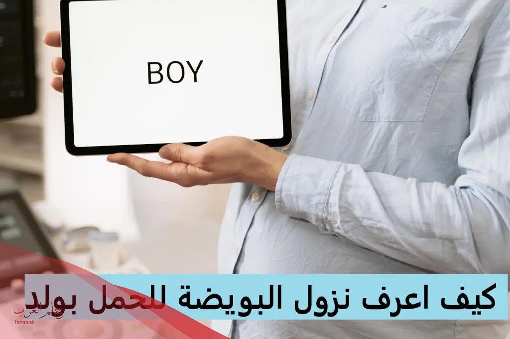 جدول أيام الحمل بولد