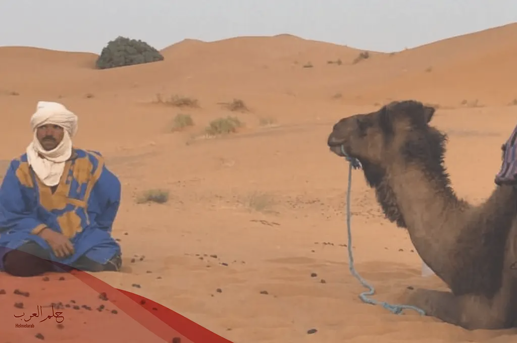 شجرة عائلة البواردي