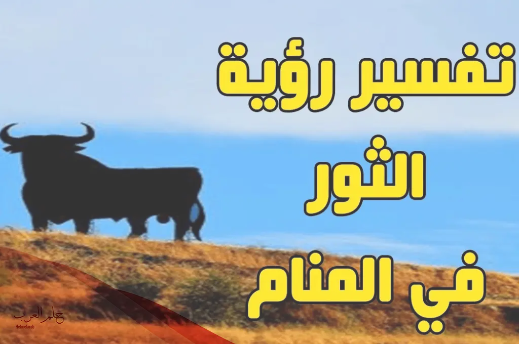 تفسير حلم الثور الأسود