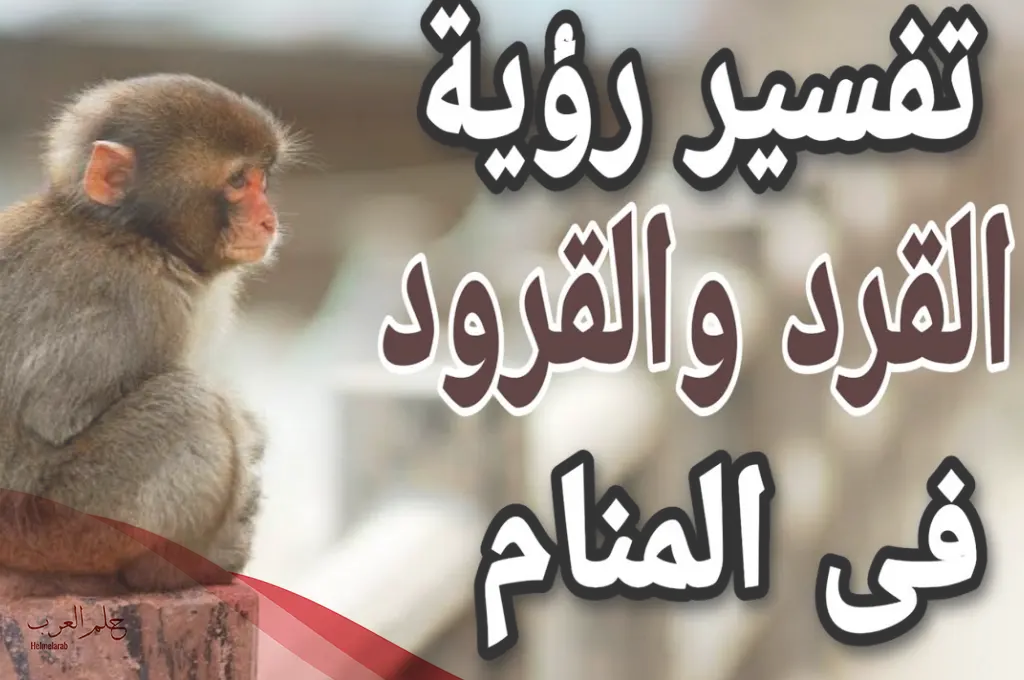 تفسير حلم القرد في البيت