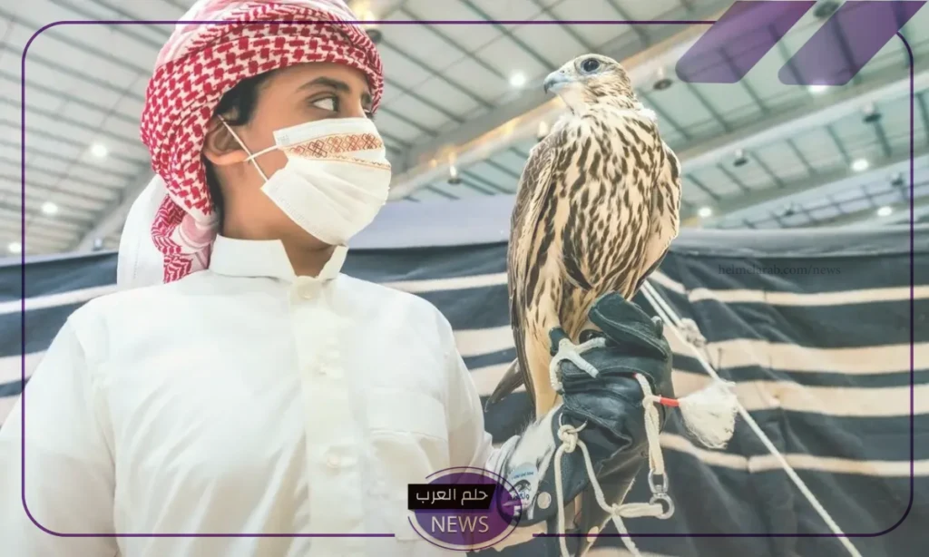 بيع أغلى صقر داخل السعودية في مزاد الصقور