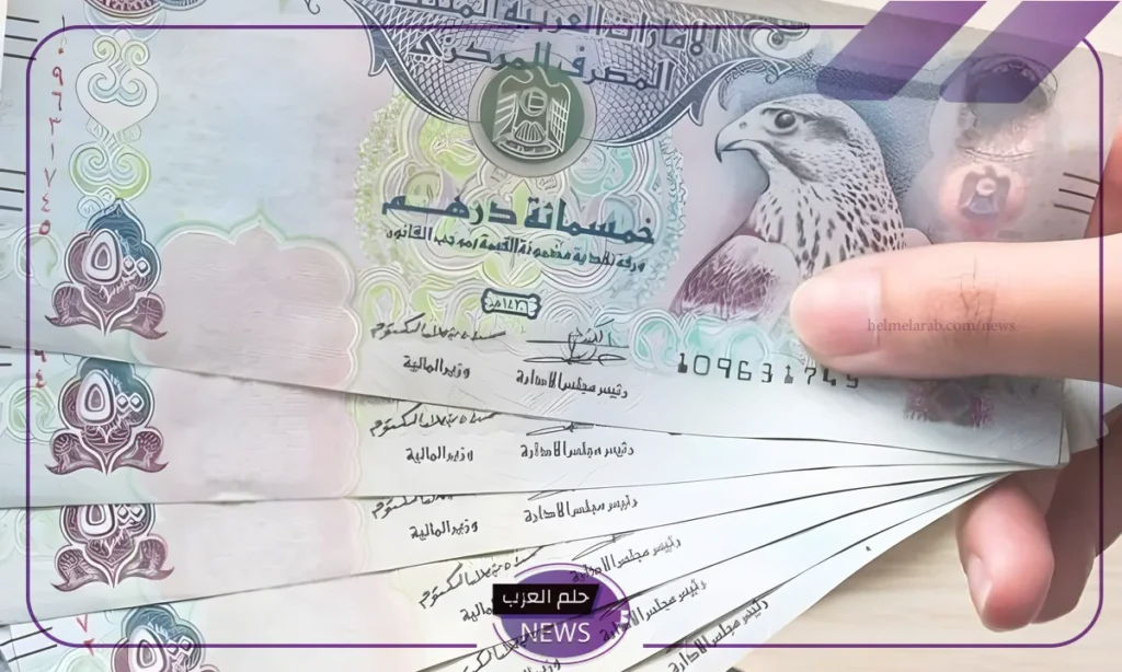 سعر الدرهم الإماراتي في البنوك المصرية