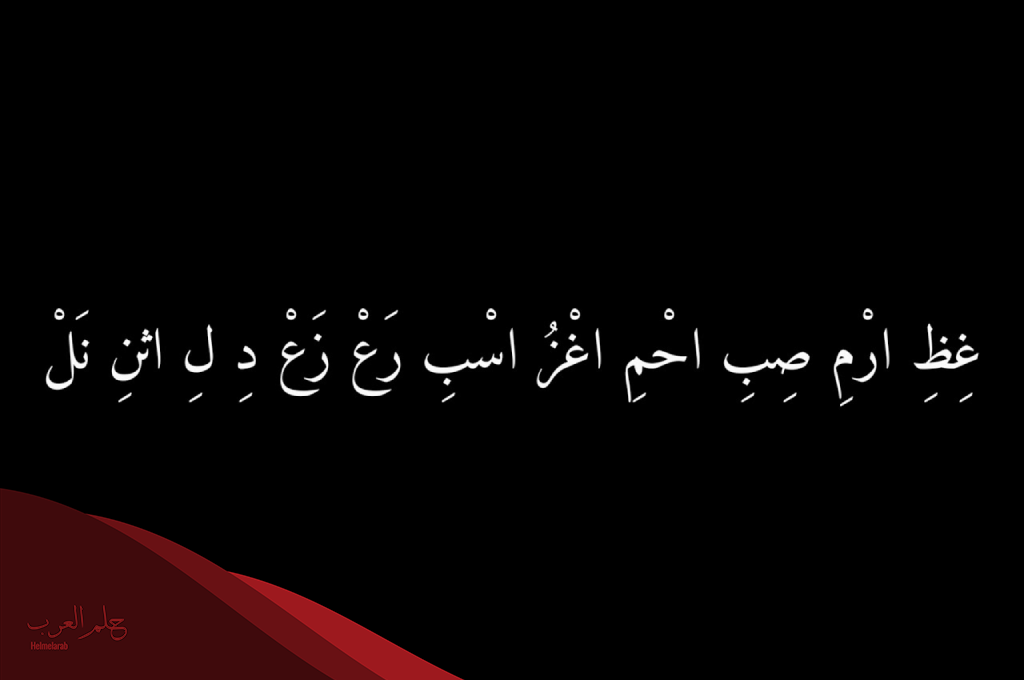 أصعب بيت شعر في اللغة العربية