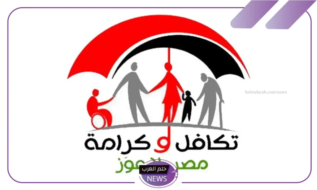 الحكومة المصرية تقرر زيادة المعاشات