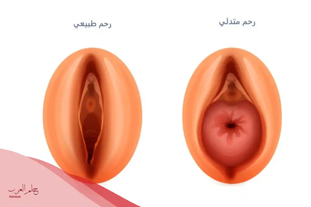 كيف اعرف اني حامل عن طريق النبض