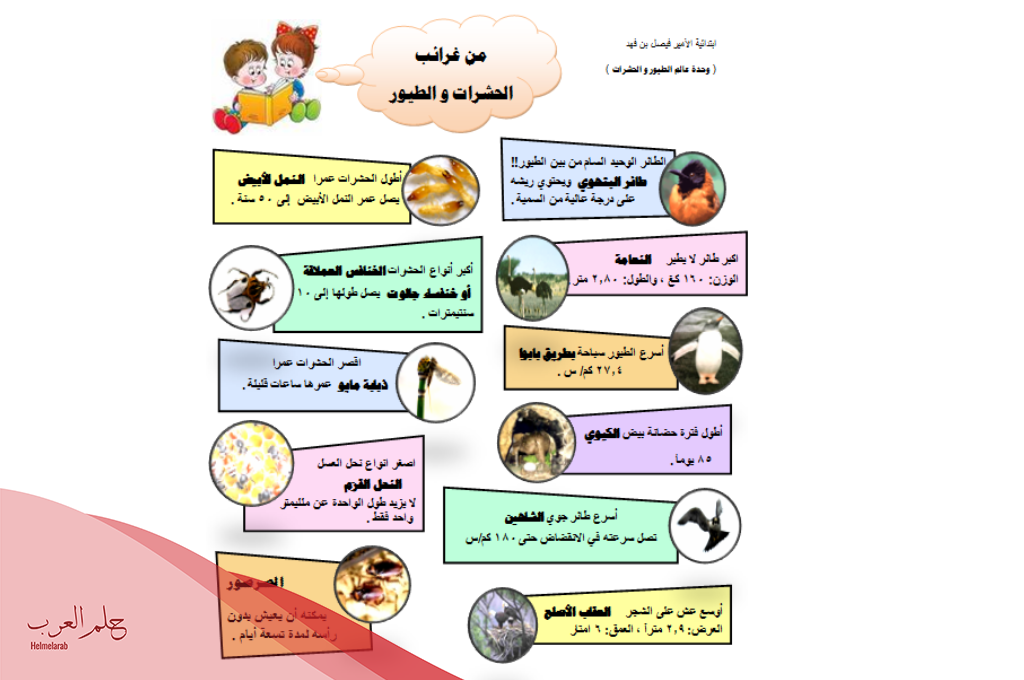 مطويات لغتي الصف الثالث