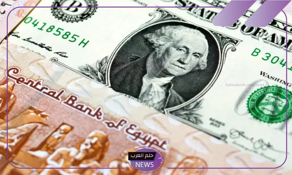 سعر الدولار اليوم داخل البنوك المصرية