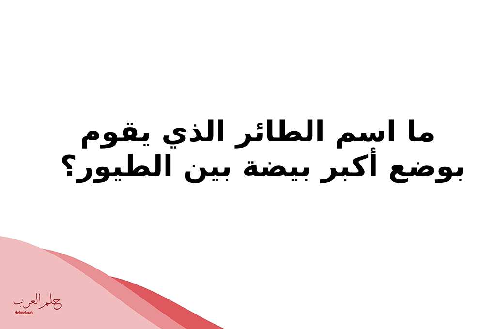 أسئلة للأطفال الصغار 10 سنوات