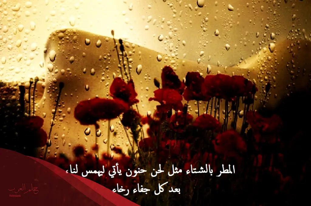 عبارات عن جمال الجو