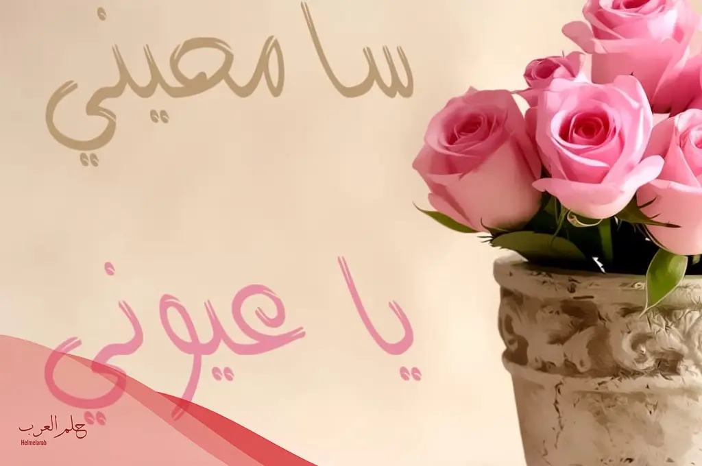 كيف أقول أسف بطريقة لطيفة